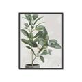 Picture of Leaf Garden _GroupedProduct_Rectangle_Portrait_Canvas_Framed_
