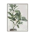 Picture of Leaf Garden _GroupedProduct_Rectangle_Portrait_Canvas_Framed_