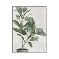 Picture of Leaf Garden _GroupedProduct_Rectangle_Portrait_Canvas_Framed_