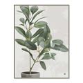 Picture of Leaf Garden _GroupedProduct_Rectangle_Portrait_Canvas_Framed_