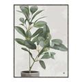 Picture of Leaf Garden _GroupedProduct_Rectangle_Portrait_Canvas_Framed_