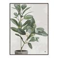 Picture of Leaf Garden _GroupedProduct_Rectangle_Portrait_Canvas_Framed_