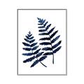 Picture of Two Blue Ferns _GroupedProduct_Rectangle_Portrait_Canvas_Framed_