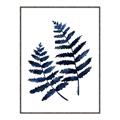 Picture of Two Blue Ferns _GroupedProduct_Rectangle_Portrait_Canvas_Framed_