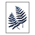 Picture of Two Blue Ferns _GroupedProduct_Rectangle_Portrait_Canvas_Framed_