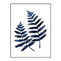 Picture of Two Blue Ferns _GroupedProduct_Rectangle_Portrait_Canvas_Framed_