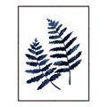 Picture of Two Blue Ferns _GroupedProduct_Rectangle_Portrait_Canvas_Framed_