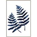 Picture of Two Blue Ferns _GroupedProduct_Rectangle_Portrait_Canvas_Framed_