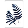Picture of Two Blue Ferns _GroupedProduct_Rectangle_Portrait_Canvas_Framed_