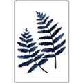 Picture of Two Blue Ferns _GroupedProduct_Rectangle_Portrait_Canvas_Framed_