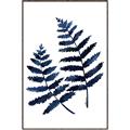 Picture of Two Blue Ferns _GroupedProduct_Rectangle_Portrait_Canvas_Framed_