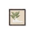 Picture of Plant Shoe Beige _GroupedProduct_Square_Canvas_Framed_