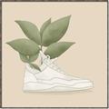 Picture of Plant Shoe Beige _GroupedProduct_Square_Canvas_Framed_