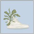 Picture of Plant Shoe Blue II _GroupedProduct_Square_Canvas_Framed_