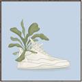 Picture of Plant Shoe Blue II _GroupedProduct_Square_Canvas_Framed_
