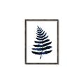 Picture of Blue Fern _GroupedProduct_Rectangle_Portrait_Canvas_Framed_