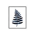 Picture of Blue Fern _GroupedProduct_Rectangle_Portrait_Canvas_Framed_