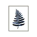Picture of Blue Fern _GroupedProduct_Rectangle_Portrait_Canvas_Framed_
