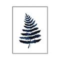 Picture of Blue Fern _GroupedProduct_Rectangle_Portrait_Canvas_Framed_