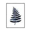 Picture of Blue Fern _GroupedProduct_Rectangle_Portrait_Canvas_Framed_