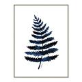 Picture of Blue Fern _GroupedProduct_Rectangle_Portrait_Canvas_Framed_