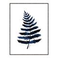 Picture of Blue Fern _GroupedProduct_Rectangle_Portrait_Canvas_Framed_