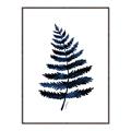 Picture of Blue Fern _GroupedProduct_Rectangle_Portrait_Canvas_Framed_