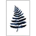 Picture of Blue Fern _GroupedProduct_Rectangle_Portrait_Canvas_Framed_