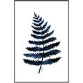 Picture of Blue Fern _GroupedProduct_Rectangle_Portrait_Canvas_Framed_