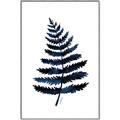 Picture of Blue Fern _GroupedProduct_Rectangle_Portrait_Canvas_Framed_