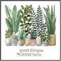 Picture of Good things frow here _GroupedProduct_Square_Canvas_Framed_