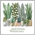 Picture of Good things frow here _GroupedProduct_Square_Canvas_Framed_