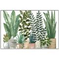 Picture of Plant Party _GroupedProduct_Rectangle_Landscape_Canvas_Framed_