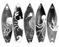 Picture of B&W Surfboards _GroupedProduct_Rectangle_Landscape_Unframed_Print_Only_