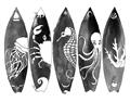 Picture of B&W Surfboards _GroupedProduct_Rectangle_Landscape_Unframed_Print_Only_