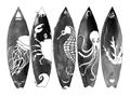 Picture of B&W Surfboards _GroupedProduct_Rectangle_Landscape_Unframed_Print_Only_