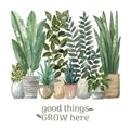 Picture of Good things frow here _GroupedProduct_Square_Unframed_Print_Only_