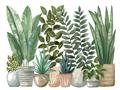 Picture of Plant Party _GroupedProduct_Rectangle_Landscape_Unframed_Print_Only_