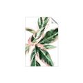 Picture of Leafy I _GroupedProduct_Rectangle_Portrait_Unframed_Print_Only_