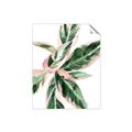 Picture of Leafy I _GroupedProduct_Rectangle_Portrait_Unframed_Print_Only_