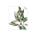 Picture of Leafy II _GroupedProduct_Rectangle_Portrait_Unframed_Print_Only_