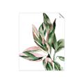 Picture of Leafy II _GroupedProduct_Rectangle_Portrait_Unframed_Print_Only_