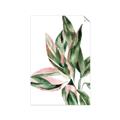 Picture of Leafy II _GroupedProduct_Rectangle_Portrait_Unframed_Print_Only_