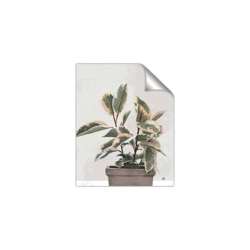 Picture of Pink Leaf House Plant _GroupedProduct_Rectangle_Portrait_Unframed_Print_Only_