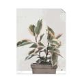 Picture of Pink Leaf House Plant _GroupedProduct_Rectangle_Portrait_Unframed_Print_Only_