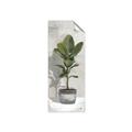 Picture of House Ficus _GroupedProduct_Panel_Portrait_Unframed_Print_Only_