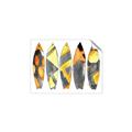 Picture of Colorful Surfboards _GroupedProduct_Rectangle_Landscape_Unframed_Print_Only_