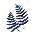Picture of Two Blue Ferns _GroupedProduct_Rectangle_Portrait_Unframed_Print_Only_
