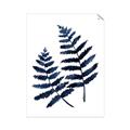 Picture of Two Blue Ferns _GroupedProduct_Rectangle_Portrait_Unframed_Print_Only_