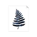 Picture of Blue Fern _GroupedProduct_Rectangle_Portrait_Unframed_Print_Only_